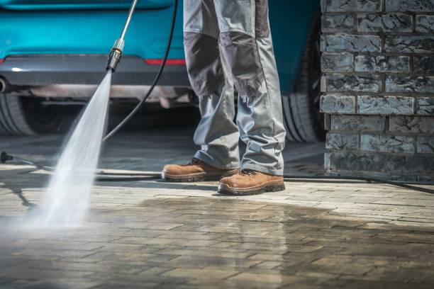 Best Winterizing Services  in International Falls, MN
